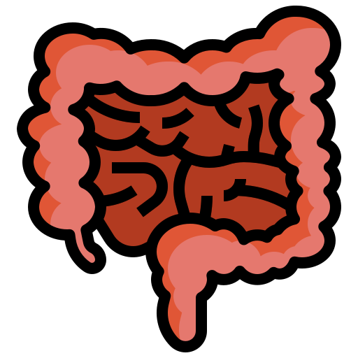 Saúde intestinal